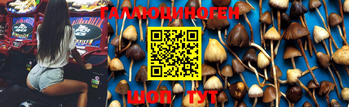 Псилоцибиновые грибы Magic Shrooms  Вход с VPN  Кунгур 