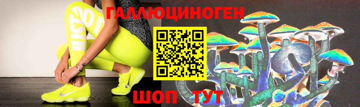 Псилоцибиновые грибы Psilocybe Кунгур