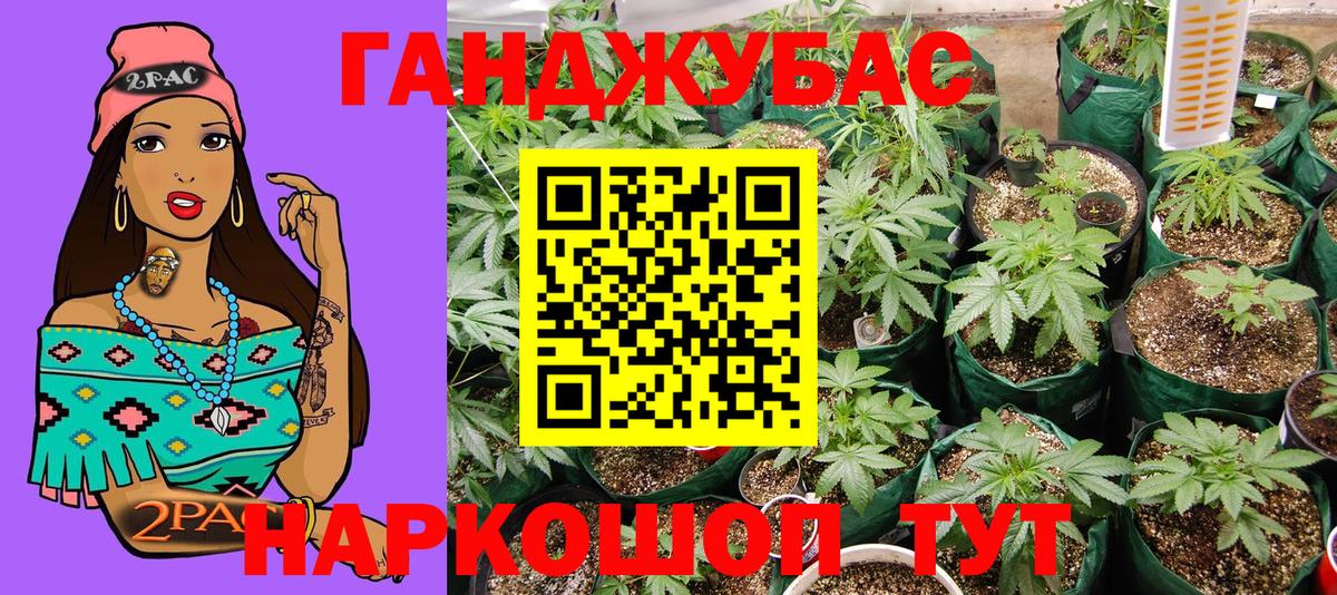 Каннабис семена Кунгур